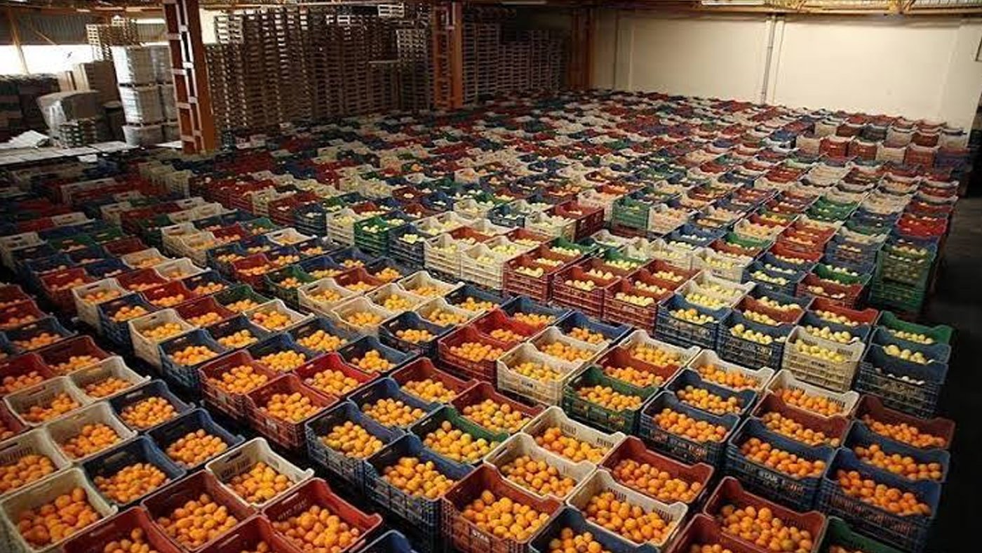 Fresh Indian Produce That Adds Value to Your Market